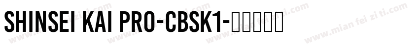 Shinsei Kai Pro-CBSK1字体转换